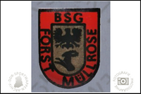 BSG Forst M&uuml;llrose Pin Variante