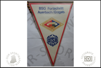 BSG Fortschritt Auerbach-Erzgebirge Wimpel