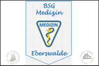 BSG Medizin Eberswalde Wimpel