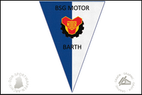 BSG Motor Barth Wimpel