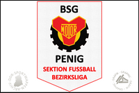 BSG Motor Penig Fussball Wimpel