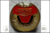 BSG Motor Pritzwalk Pin