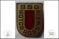 BSG Motor Rosswein Pin Variante