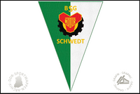 BSG Motor Schwedt Wimpel